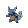 Dark Wartortle